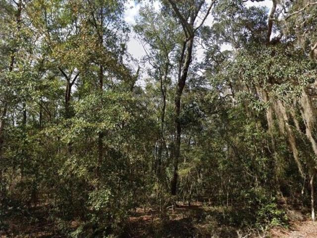 Land for sale in Interlachen Land for sale in Interlachen