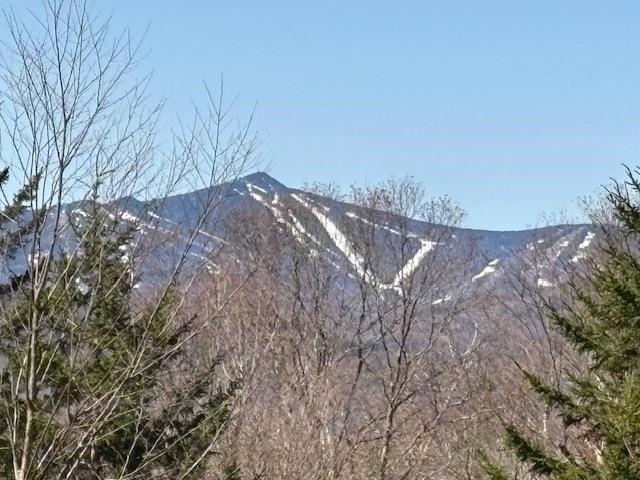 Land for sale in Bridgewater, Vermont