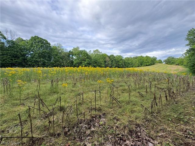 Land for sale in Stockport, Ohio