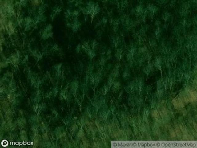 House for sale in Nellis, West Virginia