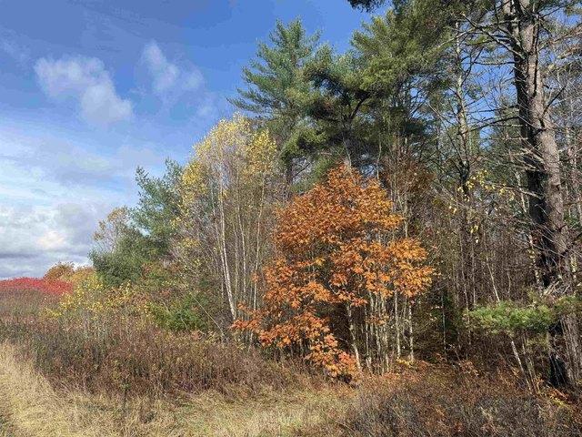 Land for sale in Concord, Vermont