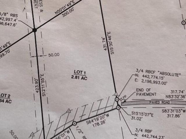 Land for sale in Ridgeville, South Carolina