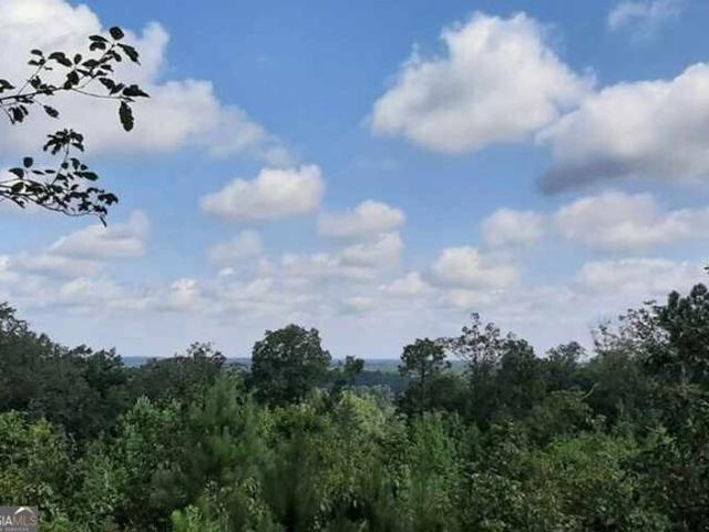 Land for sale in Georgia