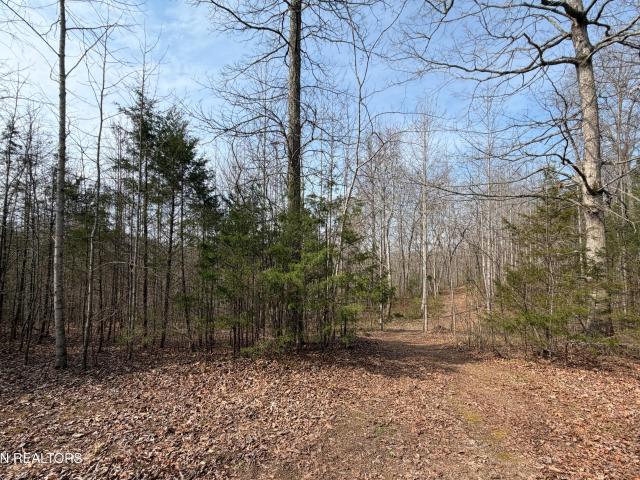 Land for sale in Tennessee