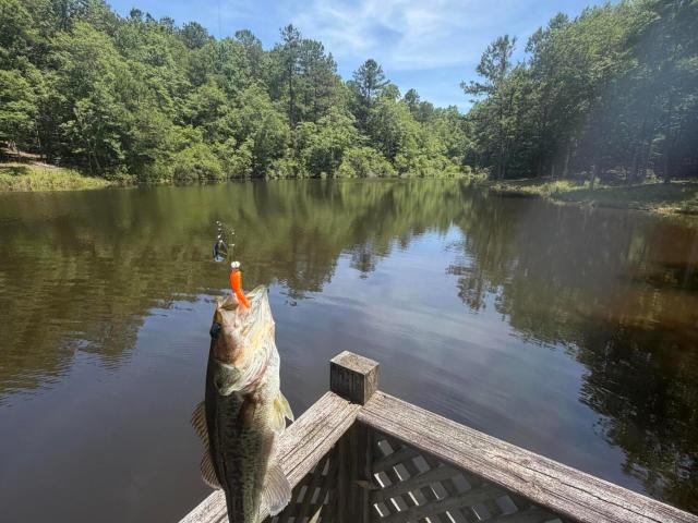 Land for sale in Newton, Mississippi