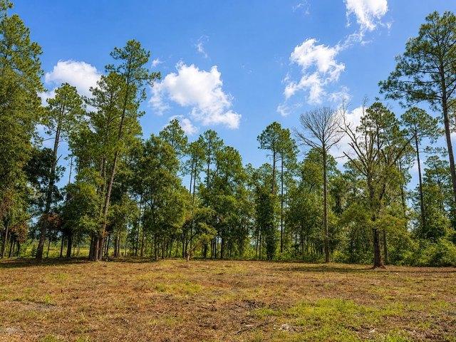 Land for sale in Monticello, Florida