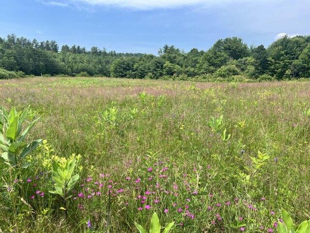 Land for sale in Bethel, Maine