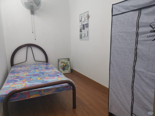 Room for rent in Petaling, Damansara Damai