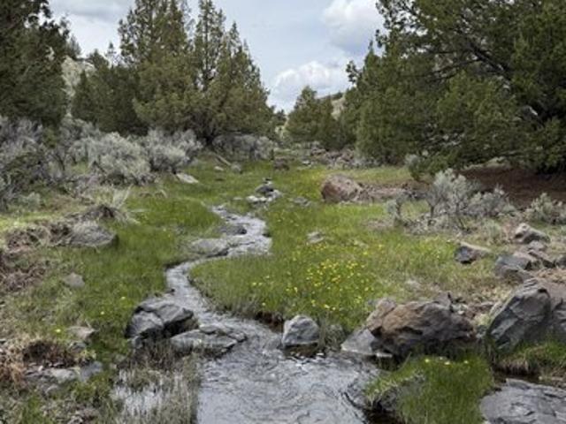 Land for sale in Gerlach, Nevada