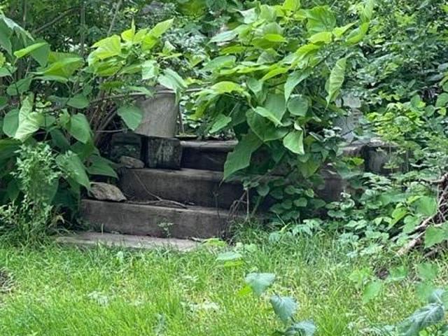 Land for sale in Altamont, Missouri