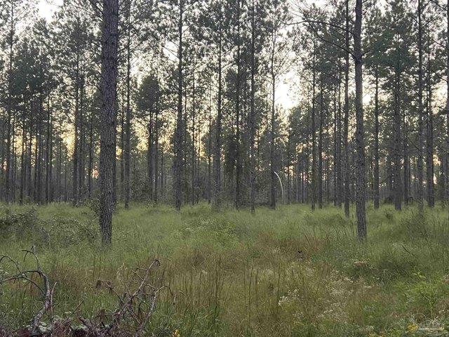 Land for sale in Pace, Florida