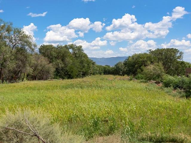 Farm for sale in Corrales, New Mexico