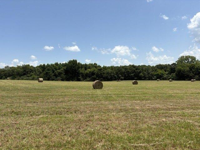 Land for sale in Leighton, Alabama