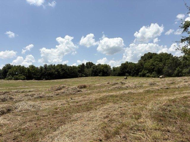 Land for sale in Leighton, Alabama