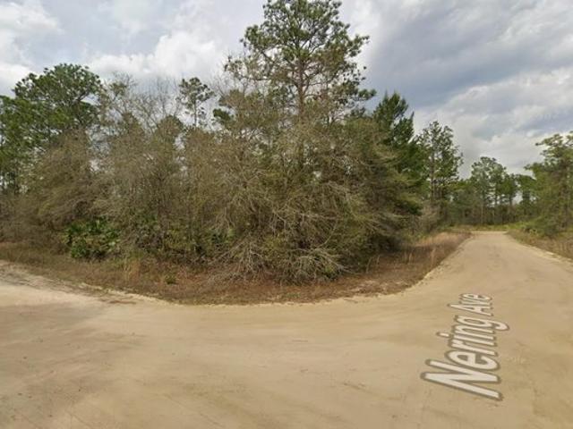 Land for sale in Interlachen, Putnam County