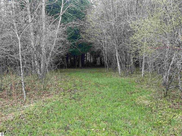 Land for sale in Thompsonville, Michigan