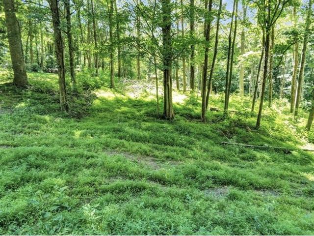 Land for sale in Adolphus, Kentucky