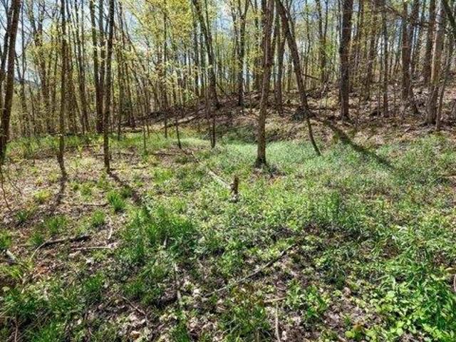 Land for sale in East Wallingford, Vermont