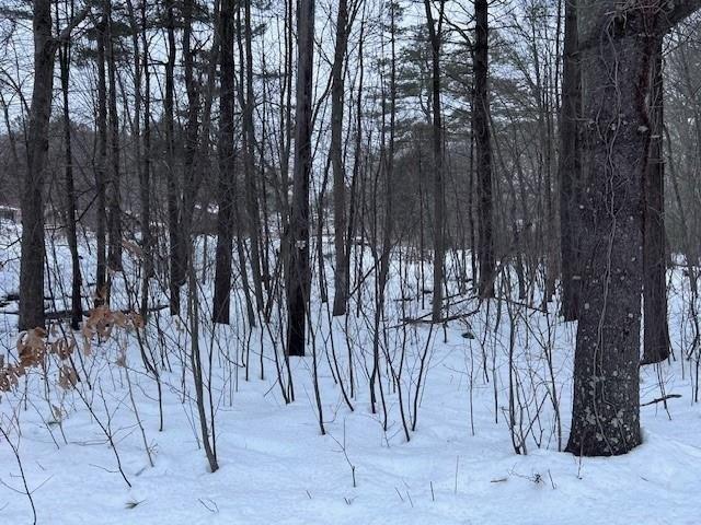 Land for sale in Oakland, Rhode Island