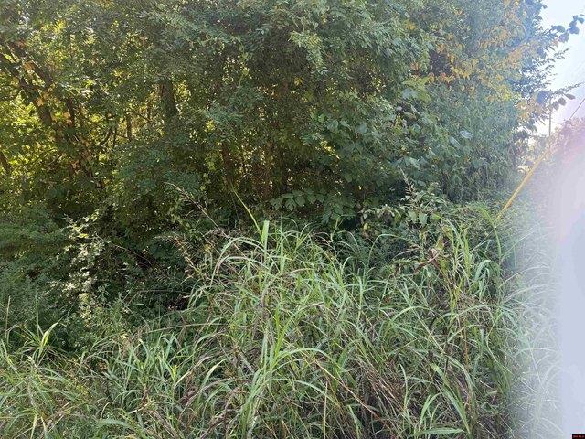 Land for sale in Ark