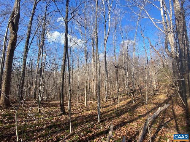 Land for sale in Virginia