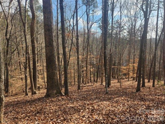 Land for sale in Rutherford, North Carolina