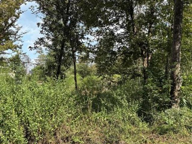 Land for sale in Polk, Texas