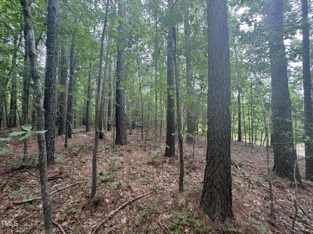 Land for sale in Goldston, North Carolina