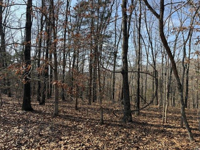 Land for sale in Stone, Missouri