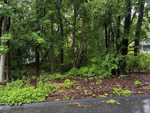 Land for sale in Passaic, New Jersey