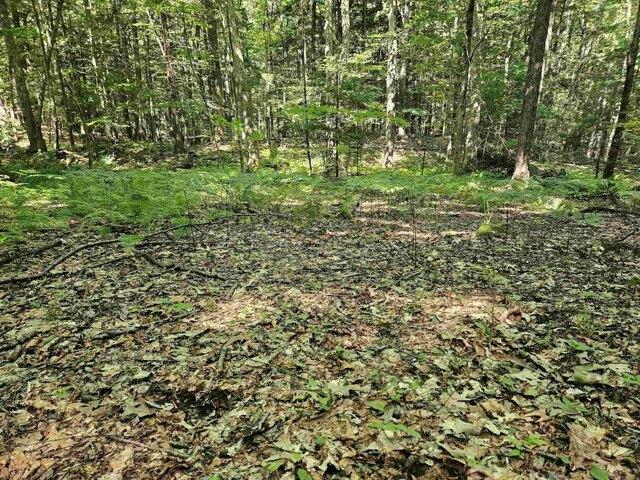Land for sale in New Hampshire