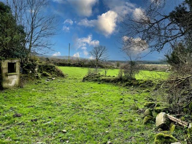 Cottage for sale in Borris