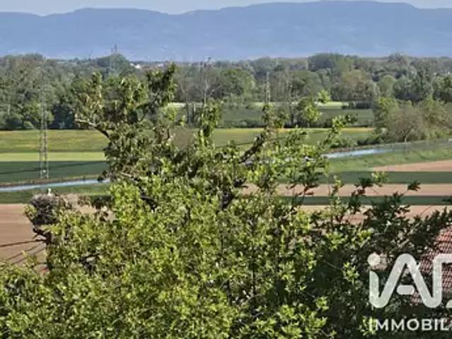Terrain vente à Waltenheim-sur-Zorn, Collectivité européenne d'Alsace