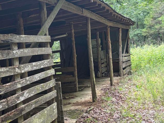 Land for sale in New Hope, Alabama