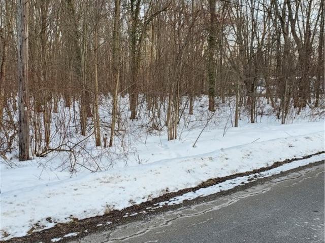 Land for sale in Unionville, Ohio