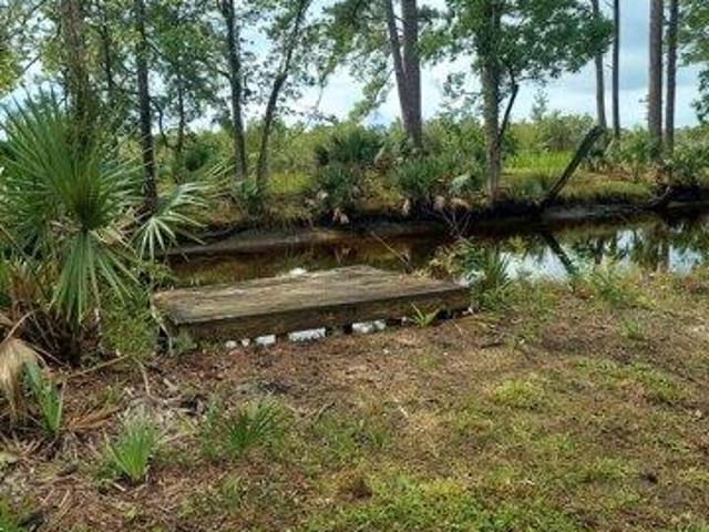 Land for sale in Walterboro, South Carolina