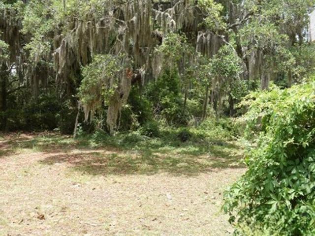 Land for sale in Georgia