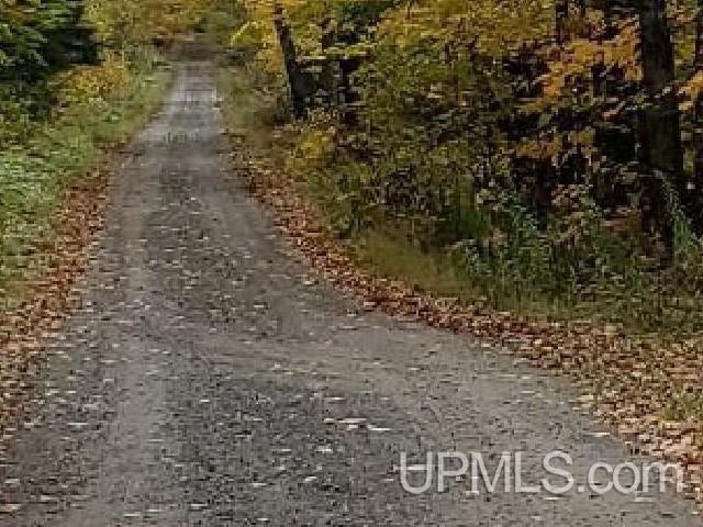 Land for sale in Iron Mountain, Michigan