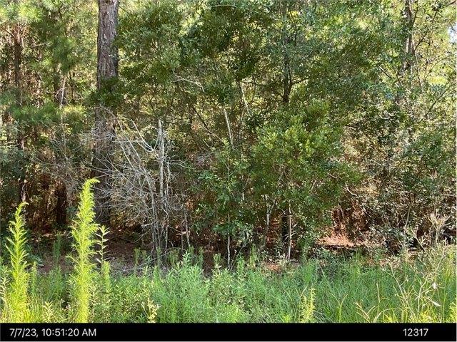 Land for sale in Tifton, Georgia