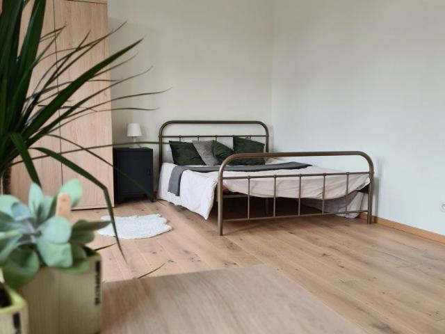 Kamer location à Courtrai, West-Vlaanderen