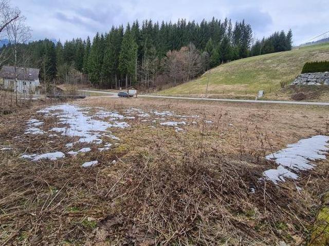 Immobilie kaufen in Vorderstoder, Oberösterreich