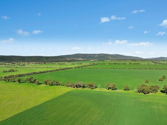 Cottage for sale in Grenfell, New South Wales