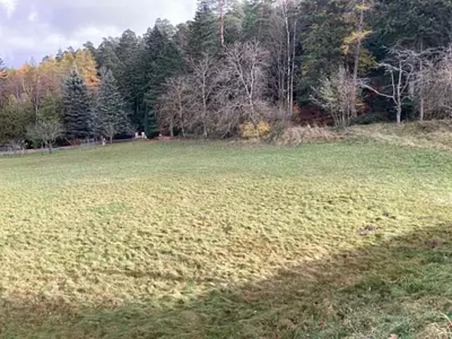 Terrain vente à Molsheim, Wangenbourg-engenthal