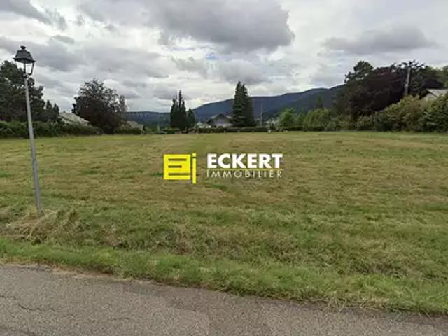 Terrain vente à Wangenbourg-Engenthal, Collectivité européenne d'Alsace