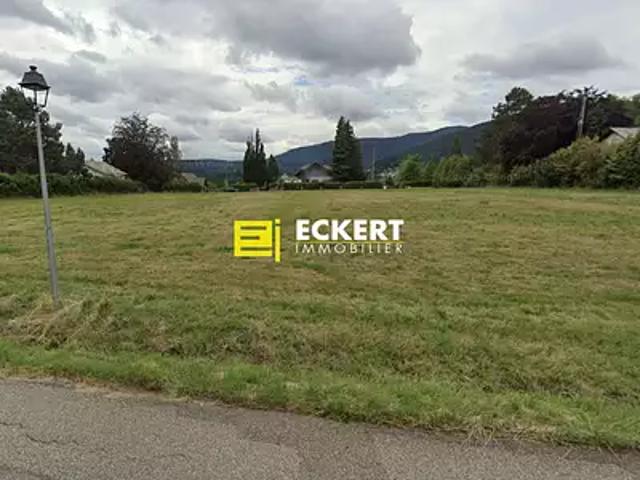 Terrain vente à Wangenbourg-Engenthal, Collectivité européenne d'Alsace
