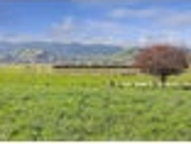 Land for sale in Waikato
