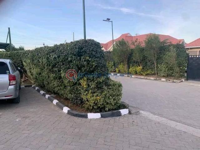 Townhouse for rent in Ruiru