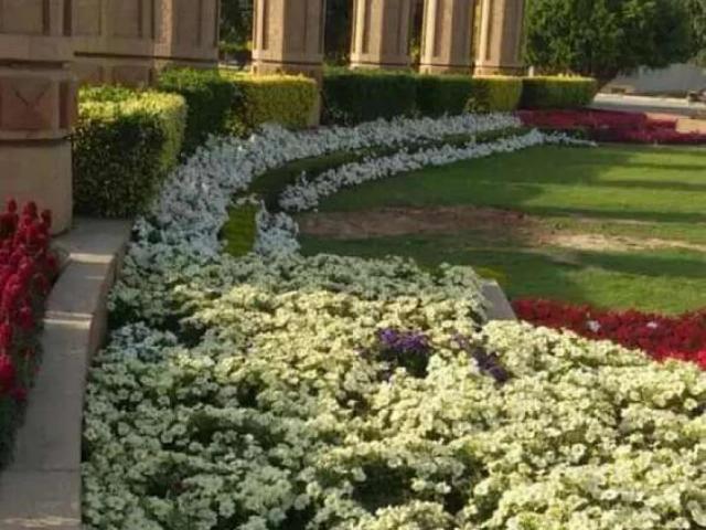 Property for rent in Faisalabad, Islamabad Capital Territory