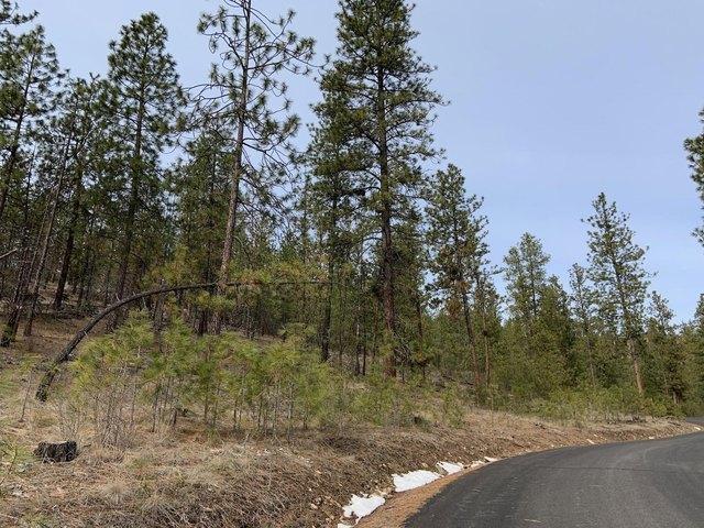 Land for sale in Davenport, Washington