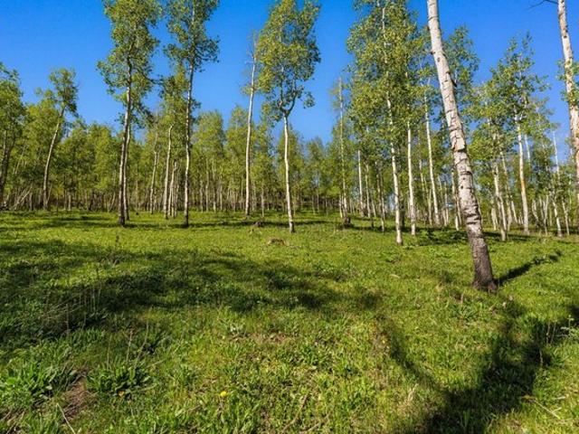 Land for sale in Telluride, Colorado